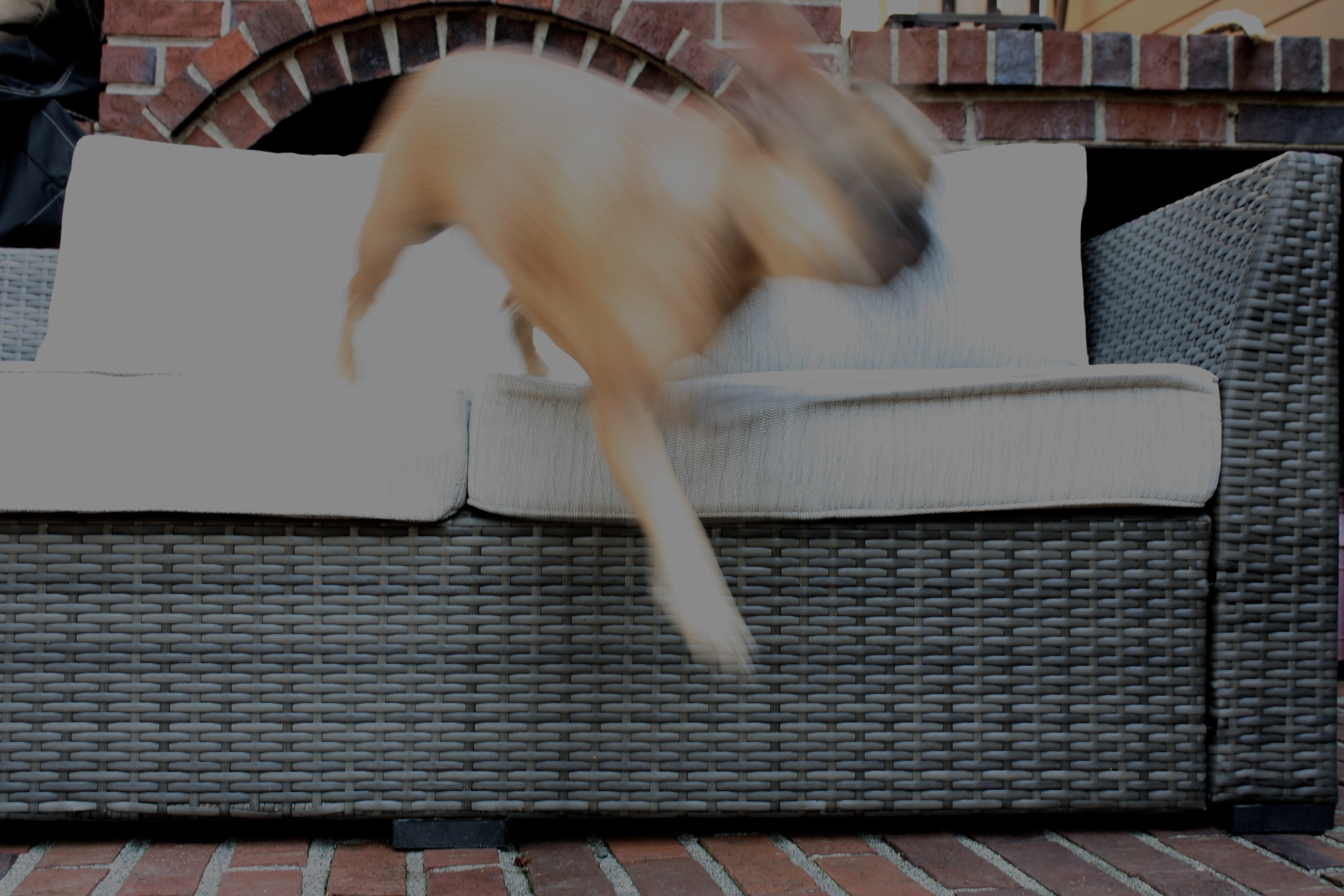 Motion Blur of Bagel