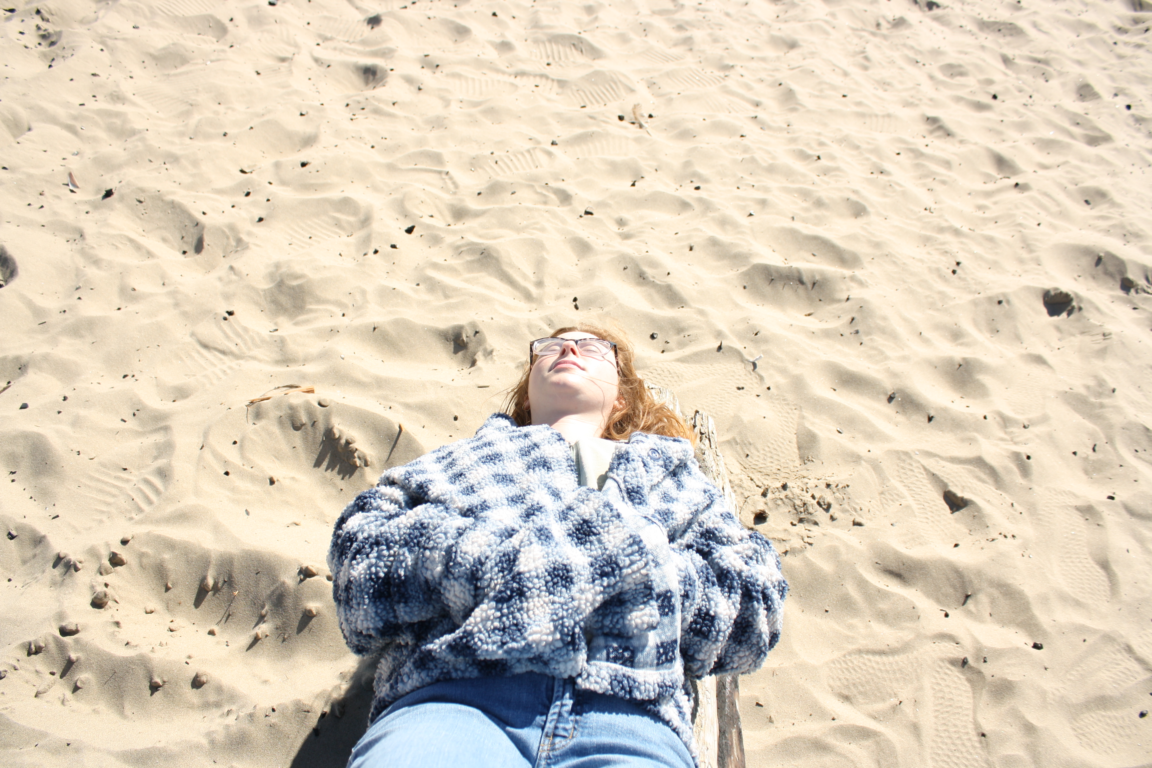 High Angle Shot of Zelda at Cannon Beach